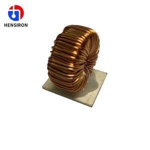 Electric Choke Filter OEM Ring Core Inductor for Power Supply - Changzhou Hensiron Electric Technology Co., Ltd. - China