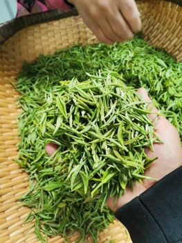 tea - HK JINYIDA TRADING CO.,LIMITED - Hong Kong