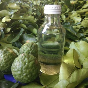 Kaffir Lime Leaf Oil (Kl-001) - BF GLOBAL TRADING (PTY) LTD - South Africa