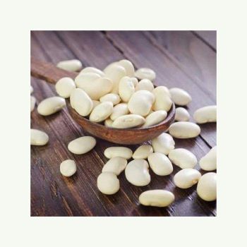 fresh whole white beans for cooking soups chili salads and traditional dishes natural beans rich in protein fiber vitamins and minerals ideal for healthy diets vegetarian recipes and everyday meal preparation from SATTER FOOD AND BEVERAGE fresh whole white beans for cooking soups chili salads and traditional dishes natural beans rich in protein fiber vitamins and minerals ideal for healthy diets vegetarian recipes and everyday meal preparation - SATTER FOOD AND BEVERAGE - Netherlands