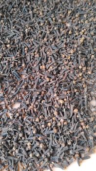 Cloves from Dhanesa rembulan utama Cloves - Dhanesa rembulan utama - Indonesia