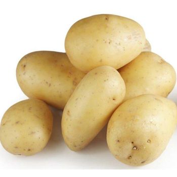 ORGANIC FRESH POTATO Origin Tanzania Grade Top Grade Harvest Time In May Packaging 100KG BAGS Brand Holland Potato Storage Temperature 0-3°c - AGRO AFRIQUE COMPANY LIMITED - Tanzania
