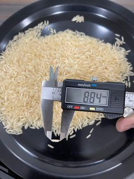 1121 Steam Rice - Avyaro Agro Pvt Ltd - India