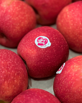 MOST POPULAR VIBRANT PINK-RED SKIN COLOR LADY APPLES, PREMIUM FRESH SWEET TART BALANCED FLAVOR PINK LADY APPLES 18KG SALE - Sosa Merchant Solutions - Austria