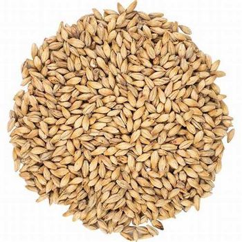Pure Organic Barley Malt Dried Grains From Netherlands 2 Year Shelf Life Wholesale - Smart Agri GmbH - Germany