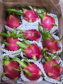 Dragon Fruit