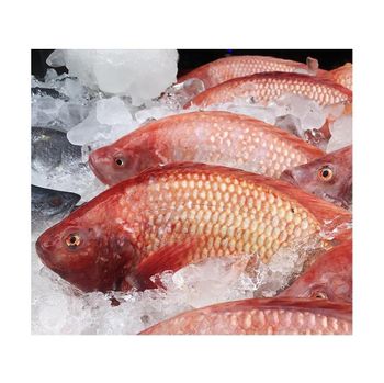 FROZEN RED SEA BREAM(WR) Red Sea Bream Fish Wholesale Grade A Max. Moisture (%) 5 Type Frozen Red Seabream Fish Species Red Seabream (pagrus Major) -  CALIPSO POLSKA SP Z OO  - Poland