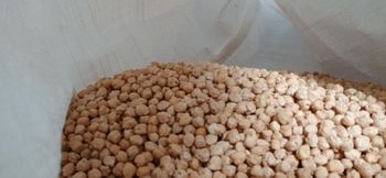 Chick pea - DIWAN TRADING PLC - Ethiopia