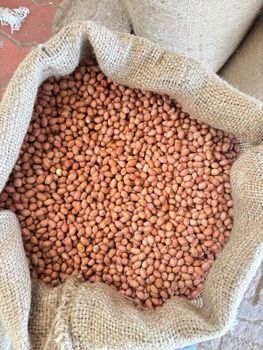 Peanuts - SAHEB SEEDS - India