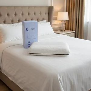 Anti-Snoring Orthopedic Vertebrae Sleep Bed Memory Sponge Pillow - Shenzhen Taineng Jikang Technology Co., Ltd - China
