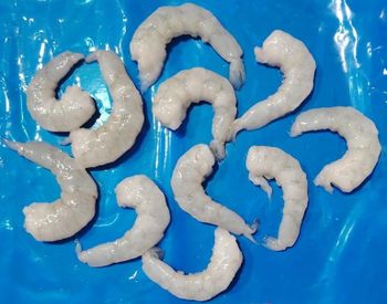 FROZEN RAW PEELED AND DEVEINED TAIL OFF(PD) VANNAMEI WHITE SHRIMP - Netfish India - India