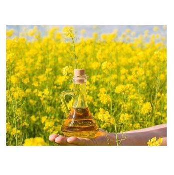 Hot Selling Price Refined Rapeseed Oil / Canola Cooking Oil in Bulk  -  CALIPSO POLSKA SP Z OO  - Poland