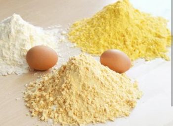 Dry hen egg powder - Shree Dwarkaadish Aagro - India