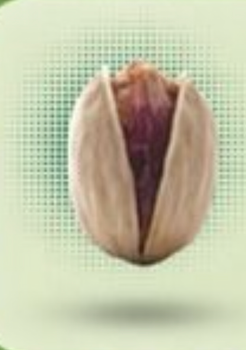 Kalle Gochi Pistachio In Shell 24/26 Size 24/26 Flavor Rich Texture Crunchy Packaging In Shell Place of Origin Iran Freshness Maximum Freshness - DUVAANTE TRADING - United Arab Emirates