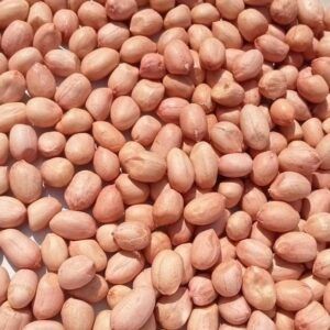Peanuts from Farmers Cooperative Limited Peanuts - Farmers Cooperative Limited - Tanzania