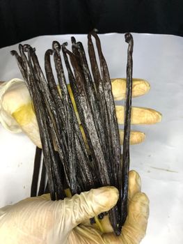 Vanilla Beans Grade A super 30-38% planifolia - rajarempahhamonangan - Indonesia