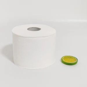 Mega Roll Toilet Paper Big Roll Bath Tissue Style Roll Color White Weight 180g Disposable Yes Sheet Length 9cm Roll Height 10cm - Baoding Clean & Soft Paper Product Technology Co., Ltd. - China