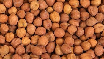 Desi Chickpeas - apex inmdustairl - Ethiopia