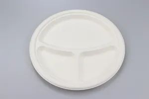 Eco-Friendly 100% Biodegradable Disposable Sugarcane Bagasse Tableware Dinnerware Plate - Anhui Imp. & Exp. Co., Ltd. - China