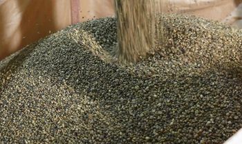 VIETNAM ROBUSTA COFFEE GRADE 1 SCREEN 16, 1%BB – product photo, Ground Black Coffee products found from trusted suppliers, wholesalers, manufacturers & exporters Listing