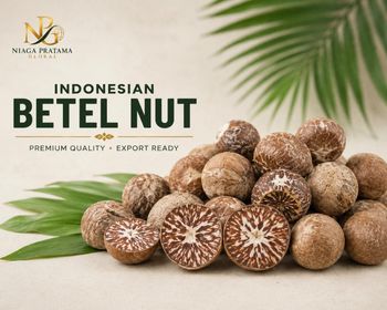 Dried Betel Nut (Areca Nut) Split / Whole Grade 80-85 Export Quality - Premium Indonesia from Niaga Pratama Global Dried Betel Nut (Areca Nut) Split / Whole Grade 80-85 Export Quality - Premium Indonesia - Niaga Pratama Global - Indonesia