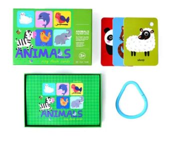 Colorful English Word Learning Early Education Cognitive Card Flash Card Playing Card - HK CHIC INDUSTRY CO., LIMITED - China