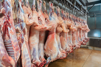 Bacon - Lawana and Sons Supplies - South Africa