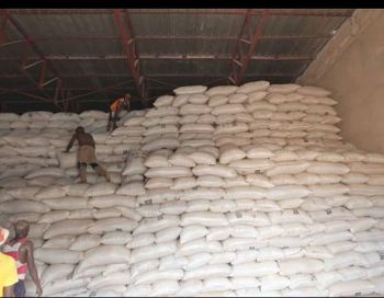 Corn Starch Food Grade Powder from Selensebobo Enterprise Corn Starch Food Grade Powder - Selensebobo Enterprise - Nigeria