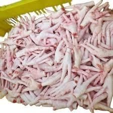 Premium Frozen Chicken Feet Halal Certified BQF Vacuum Packed Nutritious Caffeinated Food Grade Wholesale Ready Stock 10kg Carton Export Use - Carla Pisselli Commercio - Brazil