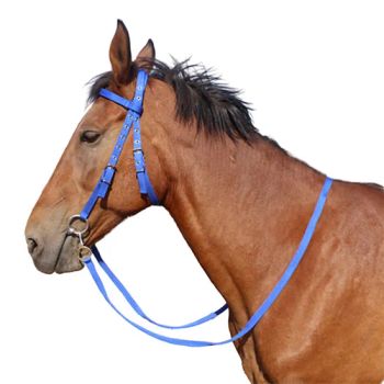 Adjustable Horse Halter with Polar Fleece Lined, Rope Halters, Equestrian Horse Riding Headcollar with Satin Hardware, Prevents Rubs, Adjustable Fit - Xiamen Furvorite Pet Supplies Co., Ltd. - China