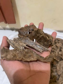 agarwood Kalimantan - PT Lucky Light Trade - Indonesia