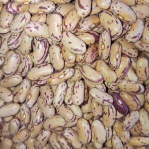 Light Speckled Kidney Beans Texture Firm Flavor Rich And Earthy Appearance Light Speckled Culinary Use Soups, Stews, Curries, And Plant-based Dishes - Farmers Cooperative Limited - Tanzania