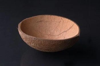 coconut shell oval ice cream cup - Geneticexports - India