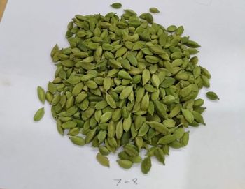 Green Cardamom - SUPER PLASTIC - India
