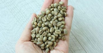 Premium Arabica Coffee Beans | Arabica Coffee Beans | Green Coffee Beans | Arabica Coffee Beans Wholesale Supplier - CHHC AGR0-CHEMICAL PRODUCTS WHOLESALING - Philippines