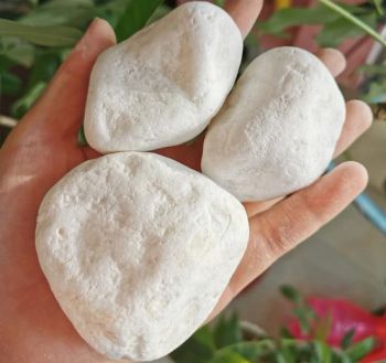 Versatile Natural Black and White River Pebbles for Landscaping and Crafts - Lingshou Chuangwei Mineral Products Processing Factory - China