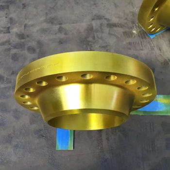 16 Inch DN400 Duplex Steel 600lb RF Weld Neck Flanges for Marine Applications - SHANXI BAOLONGDA FORGING CO. LTD - China
