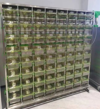 SPF Laboratory Ivc Mouse Cages for Animal Experiments Animal Research Ventilated Cage Equipment - Hebei Rital Metal Products Co., Ltd. - China