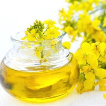 Refined Re-Processed Canola Oil Natural Premium 10% Purity 100L 24-Month Shelf Life Cooking Oil - PLANETE COMMERCE - France