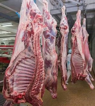 Frozen Pork from BLAZRI Frozen Pork - BLAZRI - Brazil