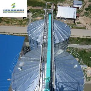 China Shelley Factory Chain Drive Scraper Drag Conveyor Carbon Stee; L Drag Conveyor for Sale - Shandong Shelley Grain Steel Silo Co., Ltd. - China