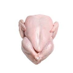 Whole chicken, fresh and 100% halal 1200gm - AMAC GOLD AND DIAMOND METALS SUPPLIER - Germany