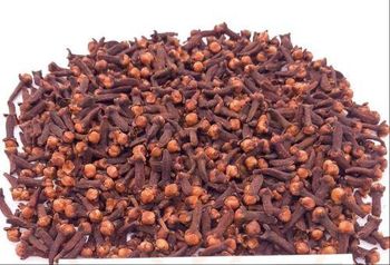 CLOVES LAL PARI Moisture Content ≤13% Color Deep Reddish-brown Essential Oil Content 12–16% Intended Applications Food, Beverage, And Fragrance - INFINITY TRADE PTE LTD - Indonesia