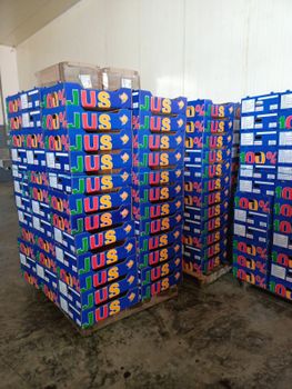 FRESH ORANGES Origin National Juice Yield High Color Deep Red Flesh Product Type Fruits & Vegetables Flavor Profile Balanced Sweet-tart - STE KHALIFA INTERNATIONALE DE COMMERCE KINTCOM - Tunisia
