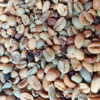 VIETNAMESE ARABICA GREEN BEANS COFFEE FULL WASHED FOR BULK, EXPORT QUALITY from WOLU ARTHA GLOBAL VIETNAMESE ARABICA GREEN BEANS COFFEE FULL WASHED FOR BULK, EXPORT QUALITY – product photo, Roasted Organic Arabica Coffee Beans products found from trusted suppliers, wholesalers, manufacturers & exporters Listing