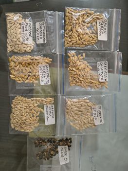 AGRO MAKI PLUS DOOEL STR NARODEN FRONT N - Freshdi