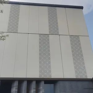 Aluminum Decoration Exterior Metal Solid Wall Claddings Curtain Wall - Guangdong Baiwei Building Materials Co., Ltd. - China