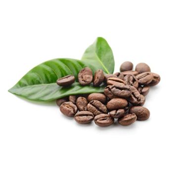 Coffee Beans cheap price bulk supply fast delivery export ready from AFRIVET TRADING SERVICES Coffee Beans cheap price bulk supply fast delivery export ready - AFRIVET TRADING SERVICES - South Africa