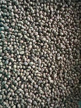 Green Coffee Beans from MANR Exim Green Coffee Beans – product photo, Long Green Beans products found from trusted suppliers, wholesalers, manufacturers & exporters Listing