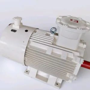 Specialized Electric AC Motors for Metallurgy, Steel and Other Industries - Hebei Xiangli Motor Manufacturing Co., Ltd - China